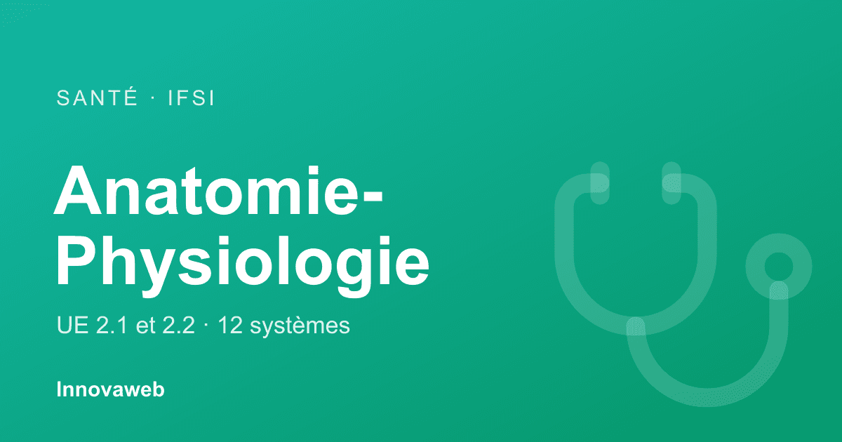 Cover de l'article : anatomie-physiologie en IFSI